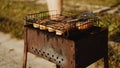 Delicious grilled sausages resting on the iron grid of a portable barbecue Royalty Free Stock Photo