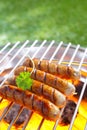 Delicious grilled sausages Royalty Free Stock Photo