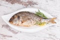 Grilled fish on plate, top view. Royalty Free Stock Photo