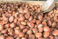 Delicious group of chestnuts fruits