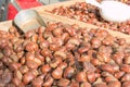 Delicious group of chestnuts fruits