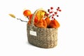 Delicious half-dried dried persimmons and sujeonggwa in a basket