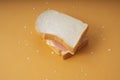 Delicious ham cheese sandwich on orange floor