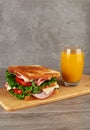 Delicious ham sandwich with fresh salad and pickle served on wooden board. Royalty Free Stock Photo