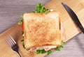 Delicious ham sandwich with fresh salad and tomatoes served on wooden board. Royalty Free Stock Photo