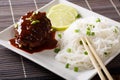 Delicious hambagu steak with gravy and rice vermicelli close-up Royalty Free Stock Photo