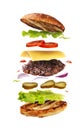 Delicious hamburger with flying ingredients Royalty Free Stock Photo