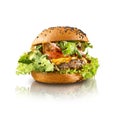 Delicious hamburger isolated white background. For fast food concept Royalty Free Stock Photo