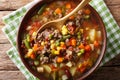 Delicious hamburger soup with ground beef and mix of vegetables Royalty Free Stock Photo