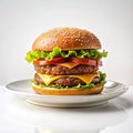 Delicious hamburger on white plate.Ready to eat.Hamburger with cheese, lettuce, tomato and onion on white background Royalty Free Stock Photo