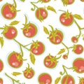 Realistic hand drawn tomatoe pattern.