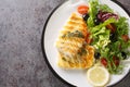 Delicious healthy grilled cod fish with fresh salad of tomatoes, olives, lettuce mix and lemon close-up in a plate. Horizontal top Royalty Free Stock Photo