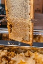 Delicious and healthy honey sealed in a honeycomb. Open honey in a bee wooden frame with a special tool. Long working knife for