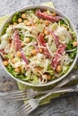 Delicious and healthy salad made with fresh ingredients such as lettuce, salami, mozzarella, and garbanzo beans topped with a Royalty Free Stock Photo