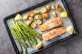 Delicious healthy salmon fillet baked with asparagus and new potatoes close-up in a baking sheet. horizontal top vew Royalty Free Stock Photo