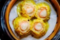 Delicious and Healthy Steamed Dim Sum, Chinese Oriental Cuisine