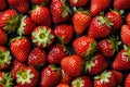Delicious healthy strawberry fruits, top view, fresh strawberries. Royalty Free Stock Photo
