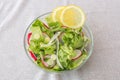 Delicious healthy vegetarian lettuce salad, with red and white radish, spring garlic, lemon slices and basil,