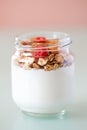 Delicious and healthy yogurt with granola