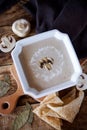 Delicious hearty mushroom soup puree of mushrooms Royalty Free Stock Photo