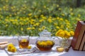Delicious herbal tea from fresh dandelion flowers with honey on the windowsill at home at summer day near garden Royalty Free Stock Photo