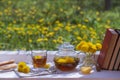 Delicious herbal tea from fresh dandelion flowers with honey on the windowsill at home at summer day near garden Royalty Free Stock Photo