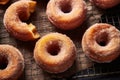 Delicious home baked apple cider donuts with coated with cinnamon sugar on cooling rack. Sweet pastry for autumn season baking Royalty Free Stock Photo