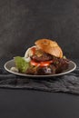 Delicious home made hamburger served on a plate Royalty Free Stock Photo