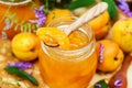 Delicious homemade apricot jam Royalty Free Stock Photo