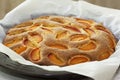 Delicious homemade sweet apricots pie Royalty Free Stock Photo