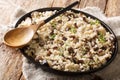 Delicious homemade barley Orzotto with forest porcini mushrooms and thyme closeup on a plate. horizontal