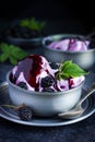 Delicious homemade blackberry ice cream with blackberry topping Royalty Free Stock Photo