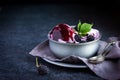 Delicious homemade blackberry ice cream with blackberry topping Royalty Free Stock Photo