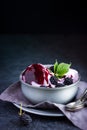 Delicious homemade blackberry ice cream with blackberry topping Royalty Free Stock Photo