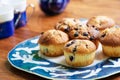 Delicious homemade blueberry muffin