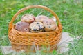 Delicious homemade blueberry muffins with berry fruits Royalty Free Stock Photo