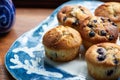 Delicious homemade blueberry muffins