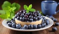 Delicious homemade blueberry tartlet with fresh, plump blueberries on a pristine white plate