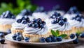 Delicious homemade blueberry tartlet with fresh, plump blueberries on a pristine white plate