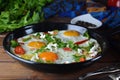 Homemade Traditional Shakshuka with Herbs and Spcies