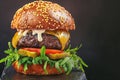 Delicious homemade burger captured in captivating dark background banner Royalty Free Stock Photo