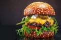 Delicious homemade burger captured in captivating dark background banner Royalty Free Stock Photo