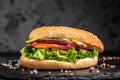 Delicious Homemade burger with grilled meat, vegetables, sauce French fries on dark background. fast food and junk food concept Royalty Free Stock Photo