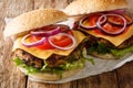 Delicious homemade burger with vegetarian patty, vegetables and cheddar cheese close-up. horizontal