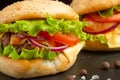Delicious homemade burgers, burgers with beef, cheese, tomatoes, and salad. close up macro Royalty Free Stock Photo