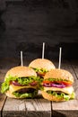 Delicious homemade burgers with beef Royalty Free Stock Photo