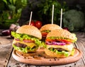 Delicious homemade burgers with beef Royalty Free Stock Photo