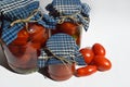 homemade canned blanks. pickled tomatoes, appetizer, canned vegetables. background for the design.