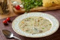 Delicious homemade chicken soup with traditional bulgarian liaison, noodles, parsley, bay leaf and grated carrots. Selective focus Royalty Free Stock Photo