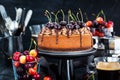 Delicious homemade chocolate cheesecake decorated with fresh che Royalty Free Stock Photo